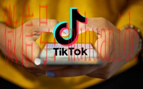 tiktok账号购买平台