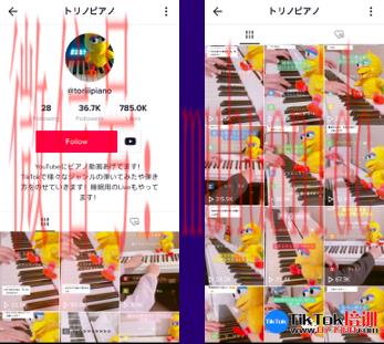 tiktok账号购买平台