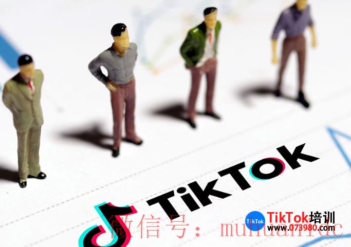 tiktok账号购买平台