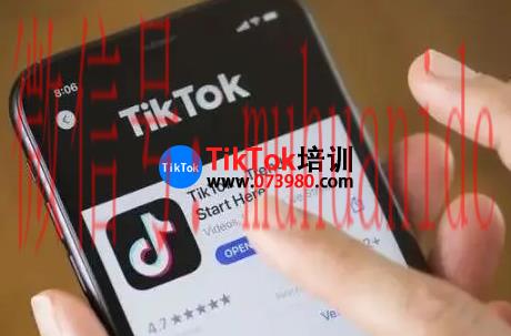 tiktok账号购买平台