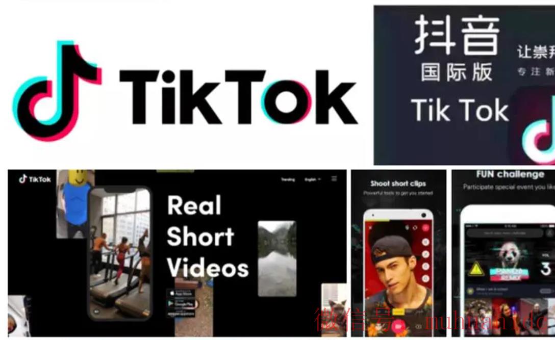 tiktok账号购买平台