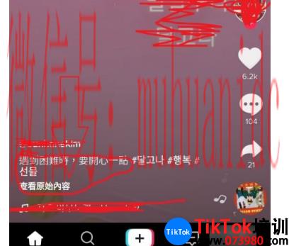 tiktok账号购买平台