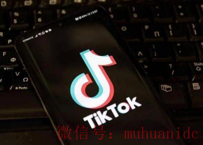 tiktok账号购买平台