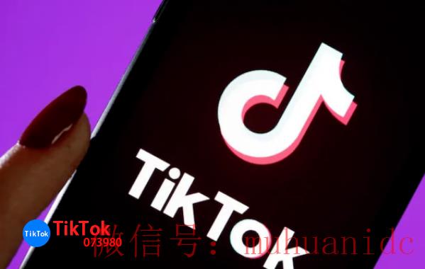 tiktok账号购买平台