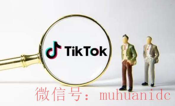 tiktok账号购买平台