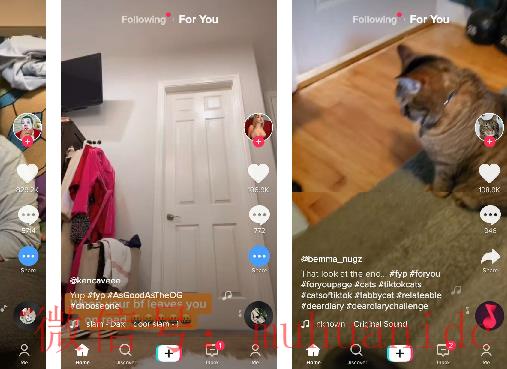 tiktok账号购买平台