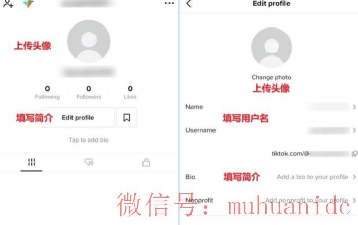 tiktok账号购买平台