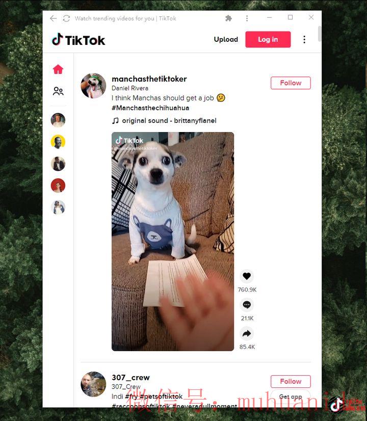 tiktok账号购买平台