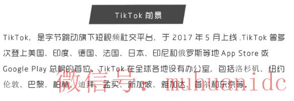 tiktok账号购买平台