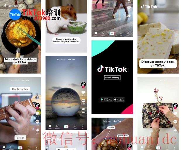 tiktok账号购买平台