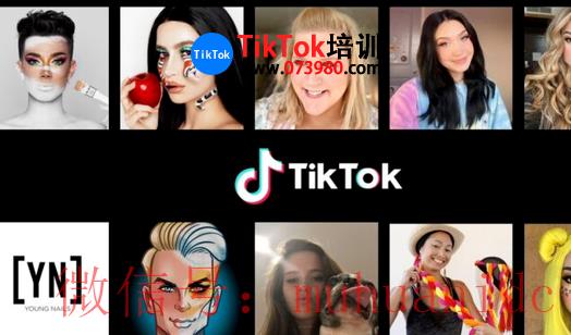 tiktok账号购买平台