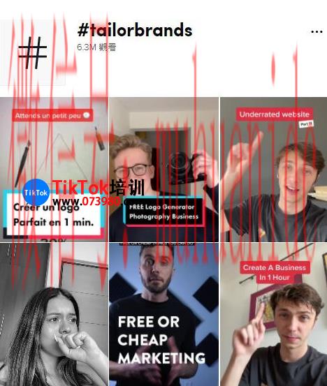 tiktok账号购买平台