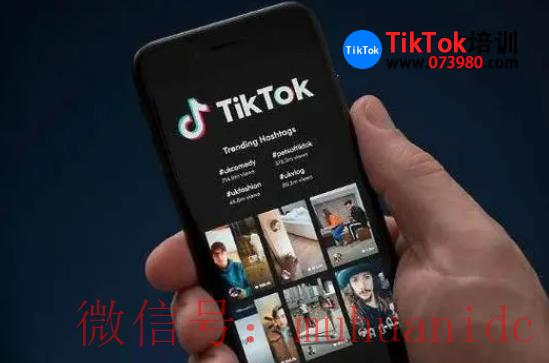 tiktok账号购买平台