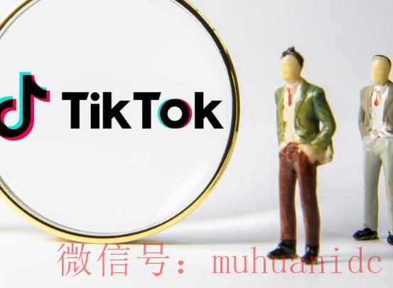 tiktok账号购买平台