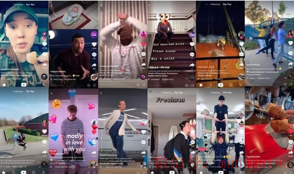 tiktok账号购买平台