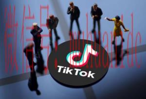 tiktok账号购买平台