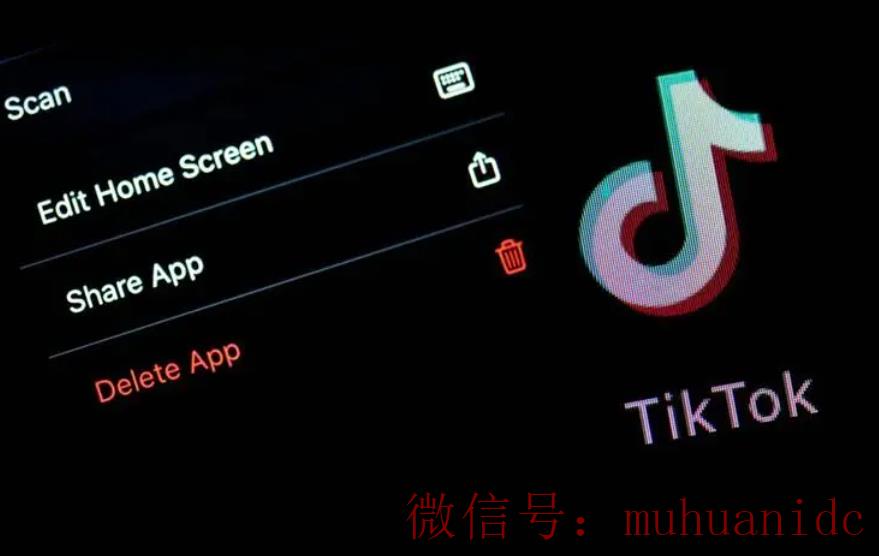 tiktok账号购买平台