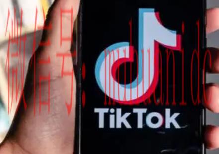 tiktok账号购买平台