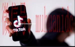 tiktok账号购买平台