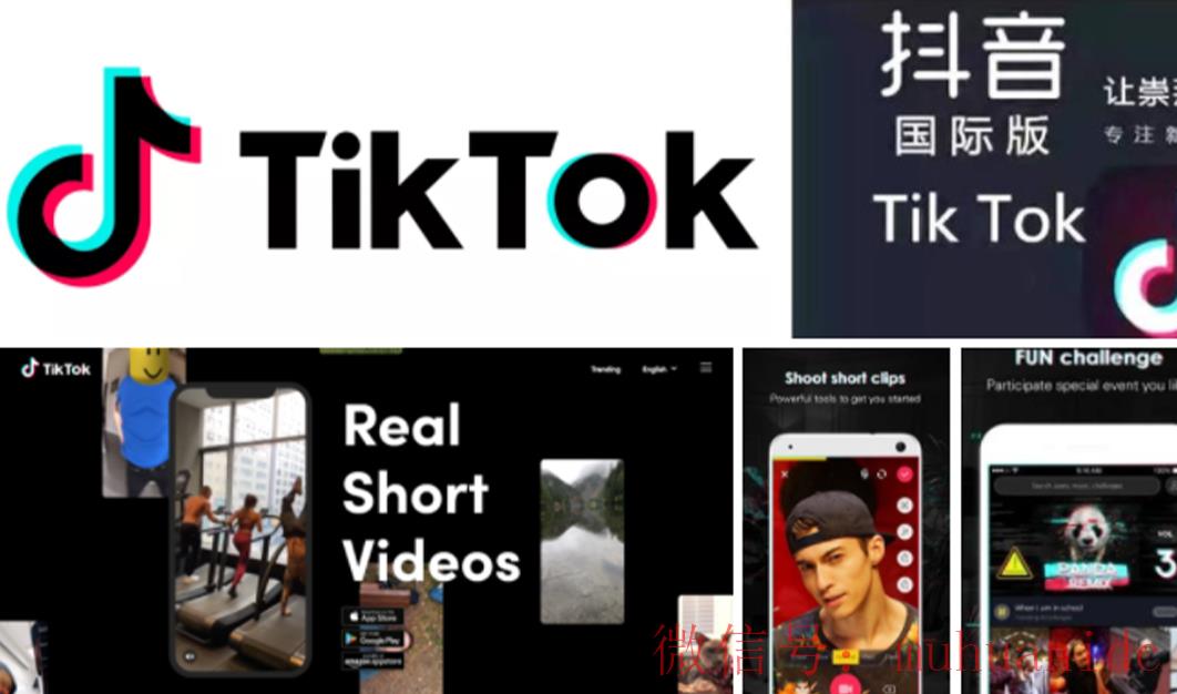 tiktok账号购买平台