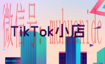 tiktok账号购买平台