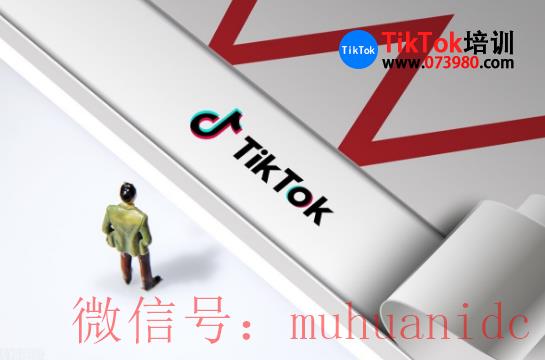 tiktok账号购买平台