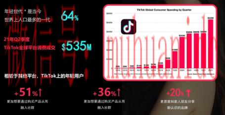 tiktok账号购买平台