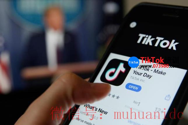 tiktok账号购买平台