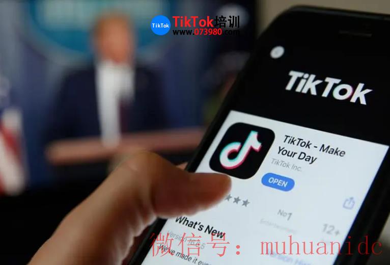 tiktok账号购买平台