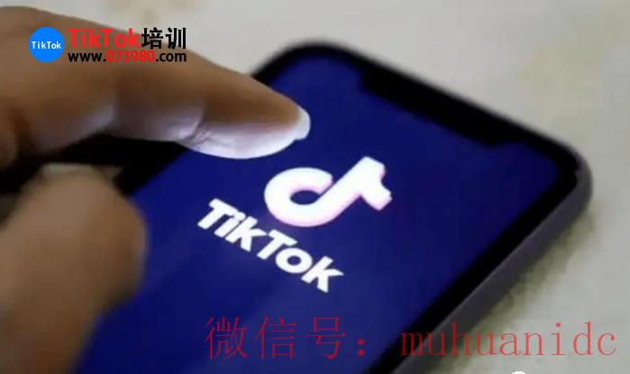 tiktok账号购买平台