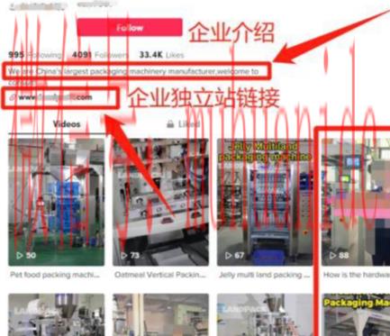 tiktok账号购买平台