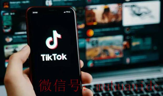 tiktok账号购买平台