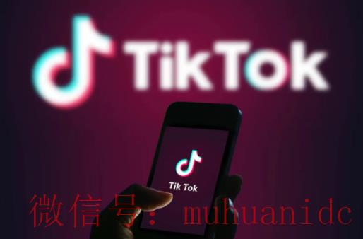 tiktok账号购买平台