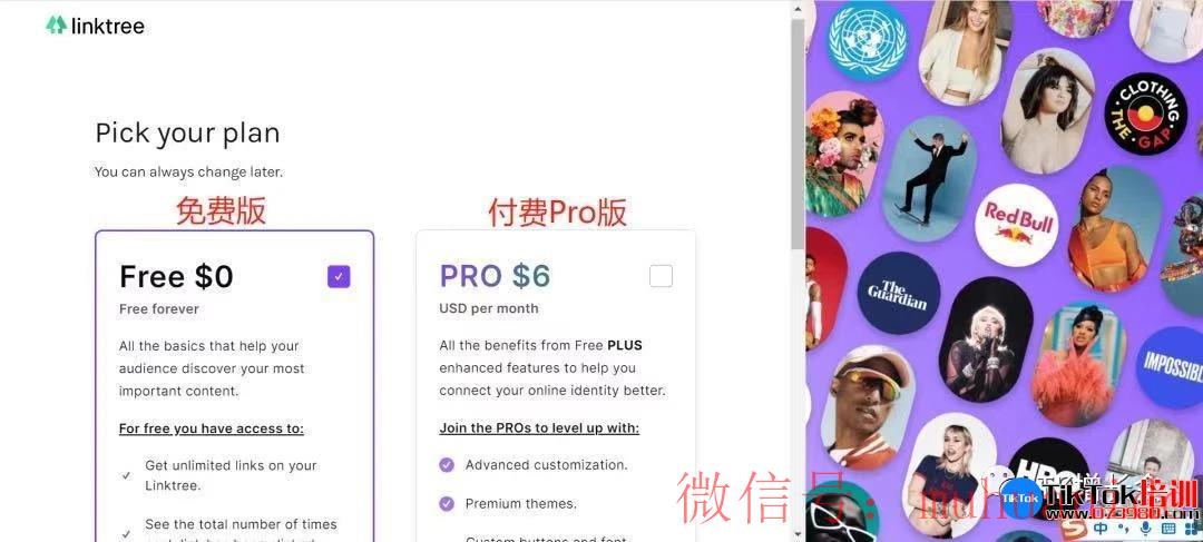 tiktok账号购买平台