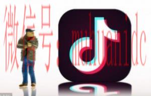 tiktok账号购买平台