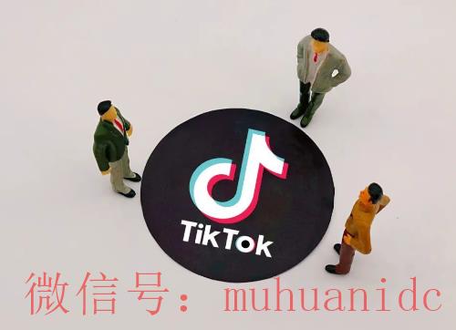 tiktok账号购买平台