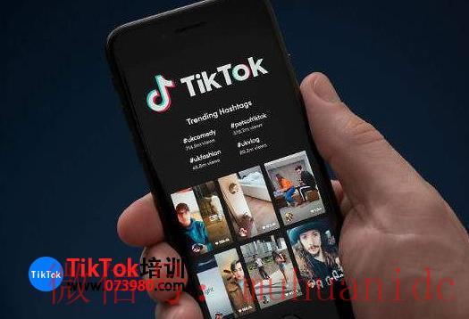 tiktok账号购买平台