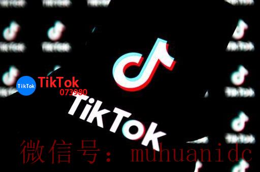 tiktok账号购买平台