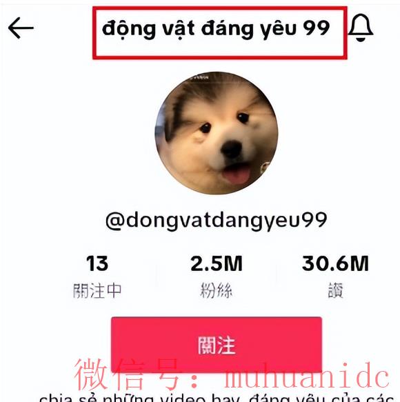 tiktok账号购买平台