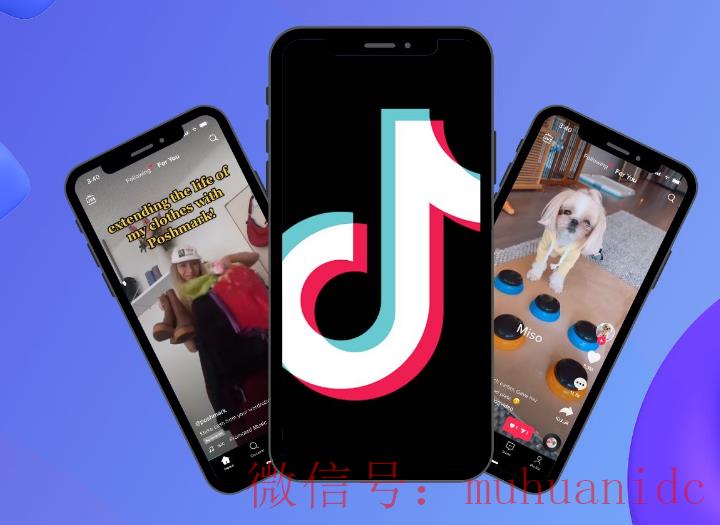 tiktok账号购买平台