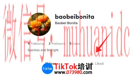 tiktok账号购买平台