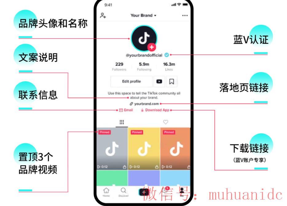 tiktok账号购买平台