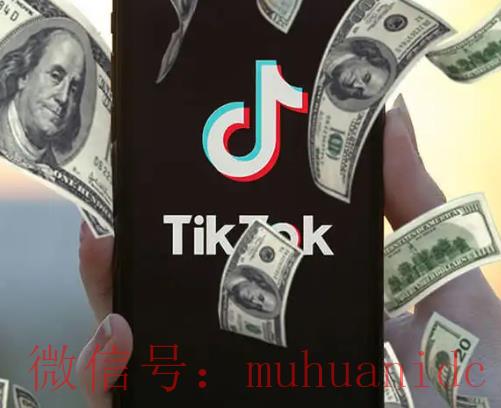 tiktok账号购买平台