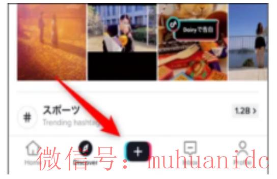 tiktok账号购买平台