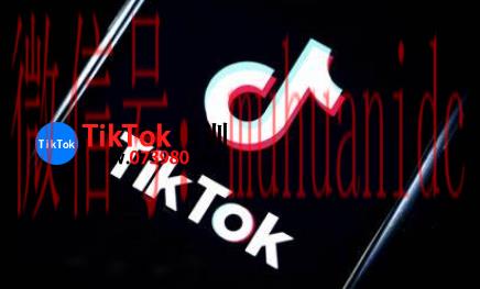 tiktok账号购买平台