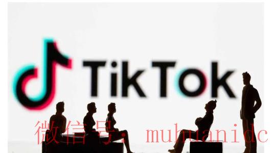 tiktok账号购买平台