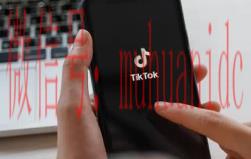 tiktok账号购买平台