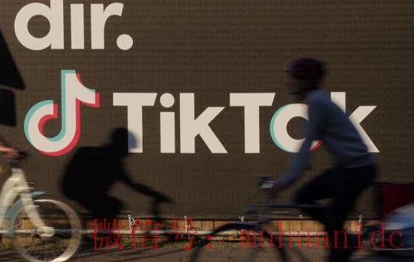tiktok账号购买平台