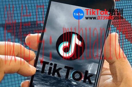 tiktok账号购买平台