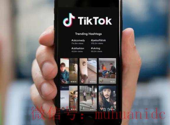 tiktok账号购买平台